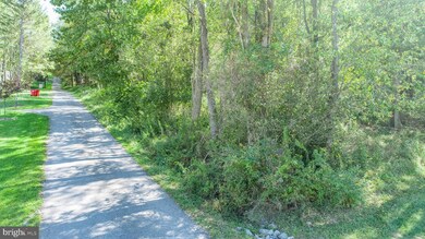Lots 2 and 3 Fair Gate Rd, McHenry, MD 21541 - photo 7