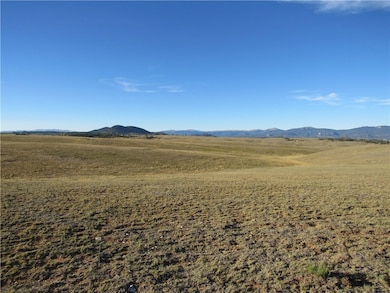 114 Andesite Way, Hartsel, CO 80449 - photo 6
