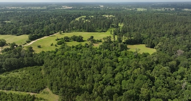 2268 S Farm To Market 1486, Montgomery, TX 77316 - photo 4