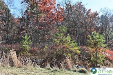 0 Buck Mountain Blvd unit 762442, Hazleton, PA 18202 - photo 4