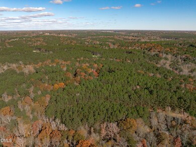 545 Deer Tail Ln, Fuquay Varina, NC 27526 - photo 4