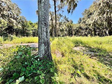 1334 Azalea Rd NE, Townsend, GA 31331 - photo 6