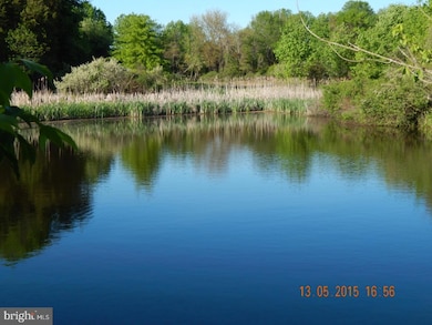 295 E Dark Hollow Rd, Tinicum Township, PA 18947 - photo 3