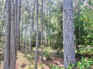 15 acres Us Highway 41, Tifton, GA 31794 - photo 4