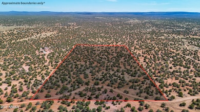 dji_fly_20250530_150134_0046_17487149939