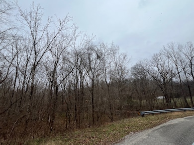 000 Walnut Grove Rd, Waynesboro, TN 38485 - photo 7