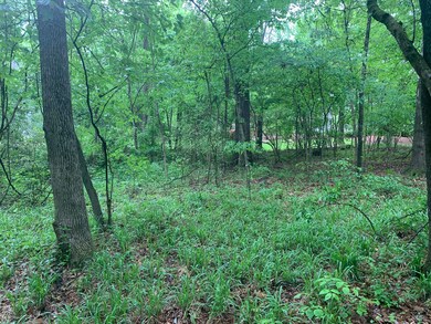 0 S Old Hwy 51 unit 2335199, Hernando, MS 38632 - photo 6