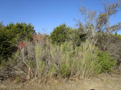 4109 Whitecrest Dr, Whitney, TX 76692 - photo 3