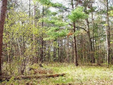 0 Hwy A unit 4662381, Webster, WI 54893 - photo 3