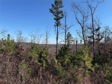 1 Rd, Fredericktown, MO 63645 - photo 6