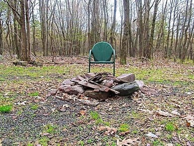 202 Forest Hill Dr, Blakeslee, PA 18610 - photo 4