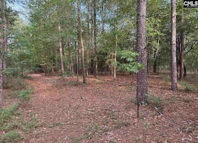 TBD Russell Rowe Rd, Leesville, SC 29070 - photo 2