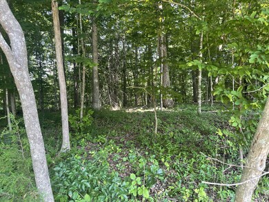 0 Laurel Crown Rd, Manchester, TN 37355 - photo 4