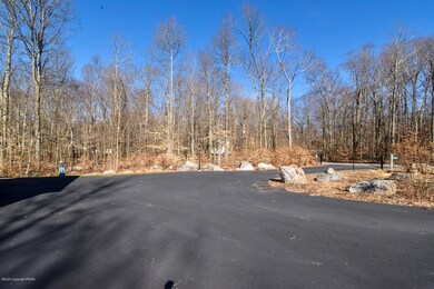 2206 Maple Leaf Ct, Pocono Lake, PA 18347 - photo 5