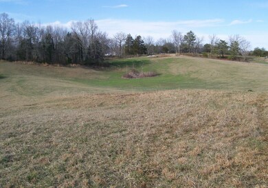 800 Goodbar Rd, Rock Island, TN 38581 - photo 6