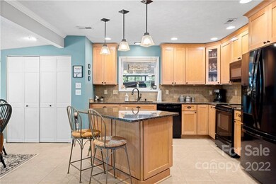 46 Gosling Cir E, Hendersonville, NC 28792 - photo 5