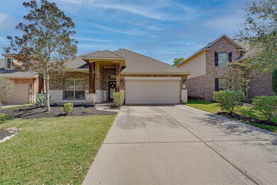163 Black Swan Place, Magnolia, TX 77354 - photo 2
