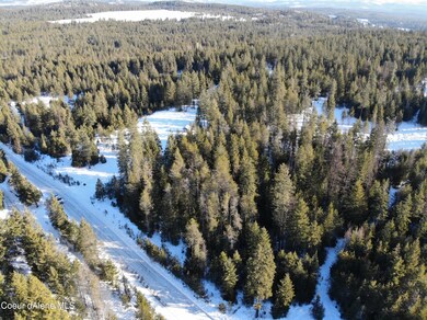 201 Northern Sky, Athol, ID 83801 - photo 6