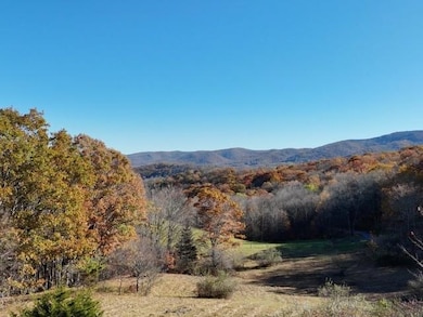 TBD Rich Hills Rd, Monterey, VA 24465 - photo 4