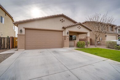 973 Empress Tree Ave, San Tan Valley, AZ 85140 - photo 2