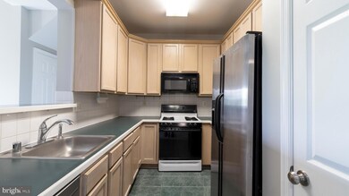 11338 Westbrook Mill Ln unit 303, Fairfax, VA 22030 - photo 3