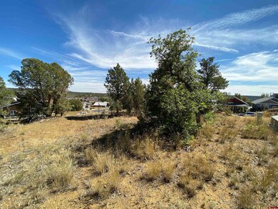 15 Salt Brush St, Durango, CO 81301 - photo 6