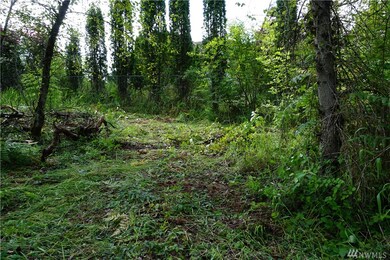 2020 394th St S, Roy, WA 98580 - photo 6