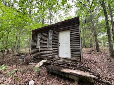 000 Boiling Springs Rd, Licking, MO 65542 - photo 3