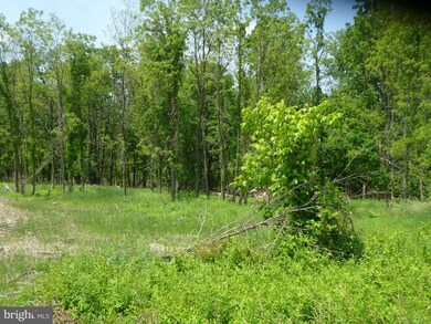 0 Magnolia unit 1000168213, Paw Paw, WV 25434 - photo 4