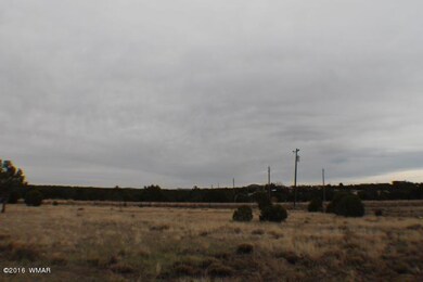 1397 Bourdon Ranch Rd, Show Low, AZ 85901 - photo 6