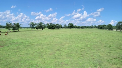 2700 Silo Rd, Edison, GA 39846 - photo 4