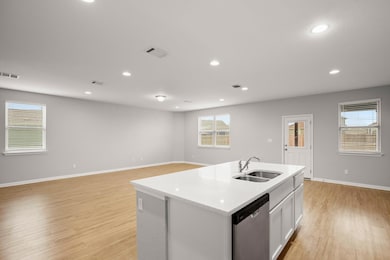 Kitchen with stainless steel dishwasher, light wo