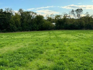 Mature Trees for Privacy