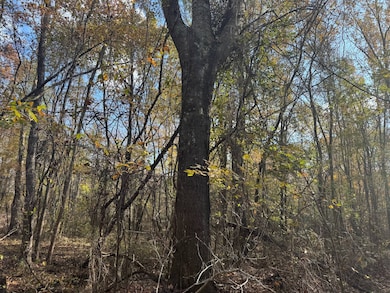 00 County Road 4026, Kosciusko, MS 39090 - photo 5