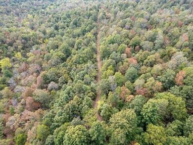 12958 N Highway 63, Hardy, AR 72542 - photo 6