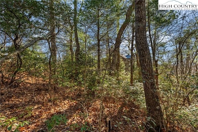 Lot 61 Boone Coffey Trail, Boone, NC 28607 - photo 6
