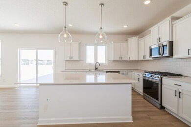 2122 Koronis Cir, Hugo, MN 55038 - photo 2