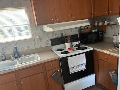 985 Moore Dr, Barnwell, SC 29812 - photo 5