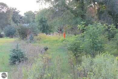 TBD Bonanza Ln unit 2 LOTS, Lake Isabella, MI 48893 - photo 7