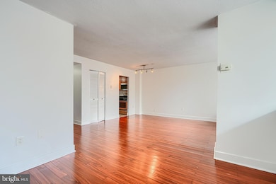 Mica Condominiums unit 100, Silver Spring, MD 20910 - photo 6
