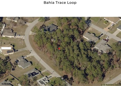 Bahia Loop Trace