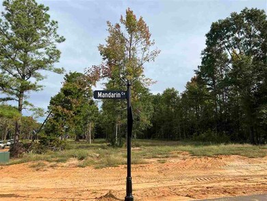 8403 Mandarin Cove, Texarkana, TX 75503 - photo 2