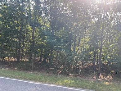 image_50407425