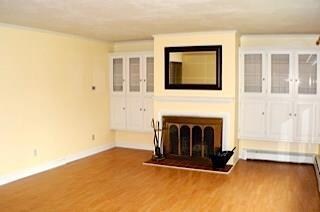 Living room fireplace with built-ins