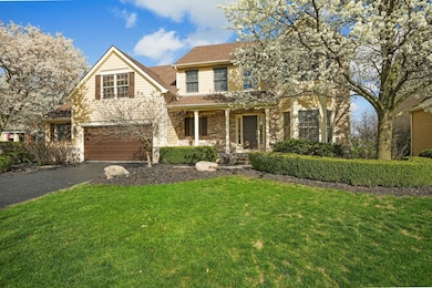 6-web-or-mls-DSC06670