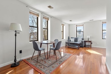 33 Brainerd Rd unit 209, Allston, MA 02134 - photo 6