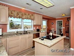 217 Ferguson Dr, Asheville, NC 28806 - photo 2