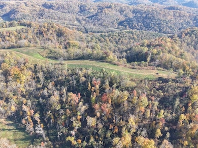 270 Higgins Rd, Woodbury, TN 37190 - photo 5