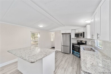 4149 E Fort Apache Place, Dunnellon, FL 34434 - photo 6