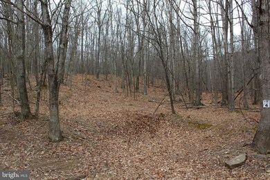 LOT 4 Helmick Rock-Trout Pass Rd, Mathias, WV 26812 - photo 3